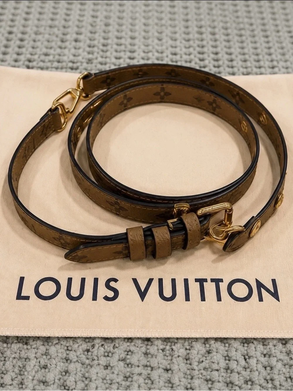 Louis Vuitton elegant louis